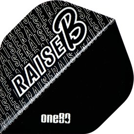 one80 Dart Raise B Dart Flight one80 Logo und Raise B...