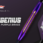 BULL'S NL Steel Darts Dirk van Duijvenbode Aubergenius Brass Steeltip Darts Steeldart 21 g