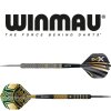 Steel Darts