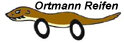 Carrera Digital 132 / 124 Ortmann Reifenfinder - Carrera Digital 132 / 124 Ortmann Reifenfinder