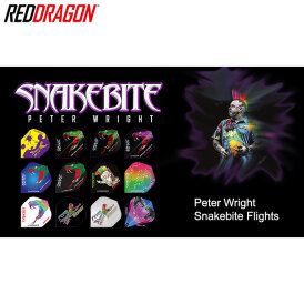 Red Dragon Peter Wright Flights Holographic Dart Flight verschiedene Flightformen - Flight Shape