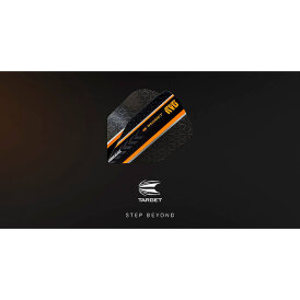 Target Vision Ultra Raymond van Barneveld RVB BLACK Dart Flight Nr. 6 Design 2018