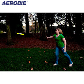 Aerobie Skylighter Disk LED Wurfring Frisbee mit Licht Beleuchtung Wurfscheibe