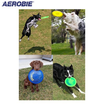 Aerobie Dogobie Disk Flugscheibe Wurfscheibe für Hunde alle Farben