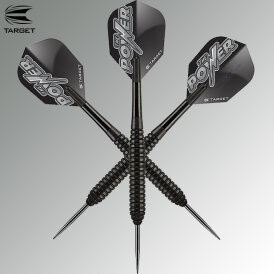Target Steel Darts Phil Taylor Power Storm Steeltip Dart Steeldart 24 g