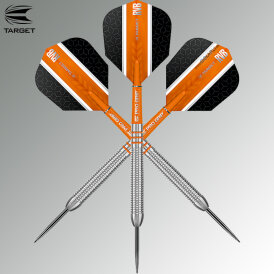 Target Steel Darts Raymond van Barneveld RVB80 Steeltip Dart Steeldart