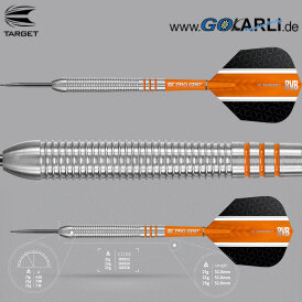Target Steel Darts Raymond van Barneveld RVB80 Steeltip Dart Steeldart