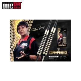 one80 Steel Darts Deta Hedman Copper Choice Brass Messing Steeltip Dart Steeldart 20 g
