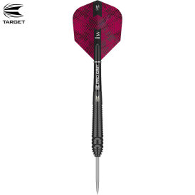 Target Steel Darts Lorraine Winstanley 90% Tungsten Steeltip Darts Steeldart 24 g