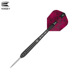 Target Steel Darts Lorraine Winstanley 90% Tungsten Steeltip Darts Steeldart 24 g