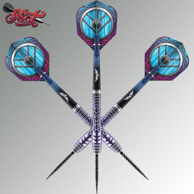 Shot Steel Dart Viking Shield Maiden 90% Tungsten Steeltip Darts Steeldart 23 g