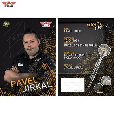 BULLS Steel Darts Pavel Jirkal Black Titanium Matchdart 90% Tungsten Steeltip Darts Steeldart 25 g