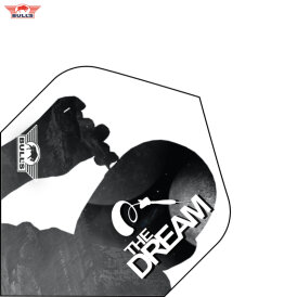 BULLS NL Powerflite P Std. Sebastian Steyer Flights Dartflight verschiedene Designs