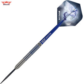 BULLS NL Steel Darts Blue Pegasus Barrel A 95% Tungsten Steeltip Darts Steeldart 22 g