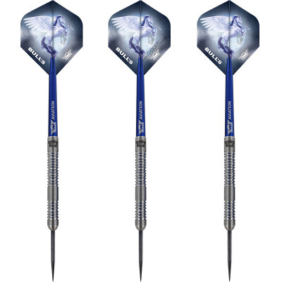 BULLS NL Steel Darts Blue Pegasus Barrel B 95% Tungsten Steeltip Darts Steeldart 25 g