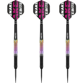 Winmau Blade 6 Bristle Dart Board & Peter Wright World Championship 2020 Edition Steeldart 21 g GOKarli Flights Starterpack