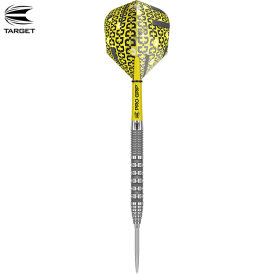 Target Steel Darts Bolide 01 SWISS Point 90% Tungsten Steeltip Darts Steeldart 23 g