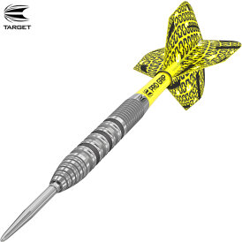 Target Steel Darts Bolide 01 SWISS Point 90% Tungsten Steeltip Darts Steeldart 23 g