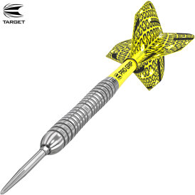 Target Steel Darts Bolide 04 SWISS Point 90% Tungsten Steeltip Darts Steeldart 2020 21 g