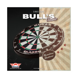BULLS NL The Classic Dartboard Bristle Dart Board Dartboard Dartscheibe