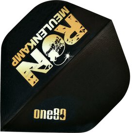 one80 Dart Flight Ron Meulenkamp mit one80 Logo