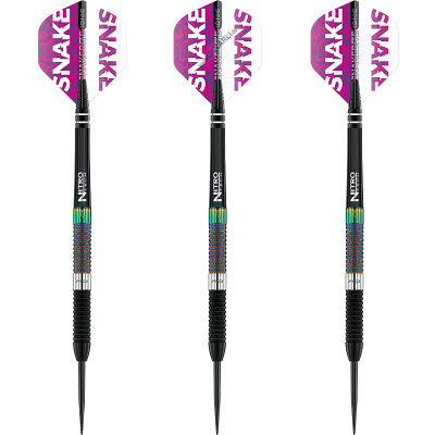 Red Dragon Steel Darts Peter Wright World Champion Diamond Edition Weltmeister 2020 Steeltip Dart Steeldart 24 g
