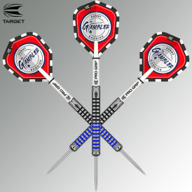 Target Steel Darts Danny Baggish Gen 1 Generation 1 90% Tungsten Steeltip Dart Steeldart 2021 21 g