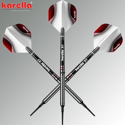 Karella Soft Darts ShotGun silver Steffen Siepmann 80% Tungsten Softtip Darts Softdart 2020