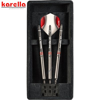 Karella Soft Darts ShotGun silver Steffen Siepmann 80% Tungsten Softtip Darts Softdart
