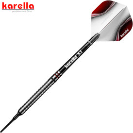 Karella Soft Darts ShotGun silver Steffen Siepmann 80% Tungsten Softtip Darts Softdart