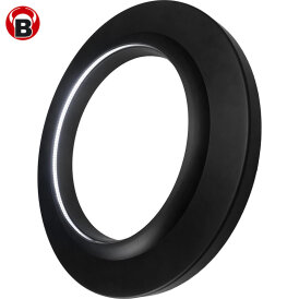 BULLS Dart Lightning LED PU Surround Dartboard Light...