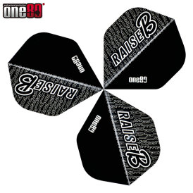 one80 Dart Raise B Dart Flight one80 Logo und Raise B Logo Dartflight