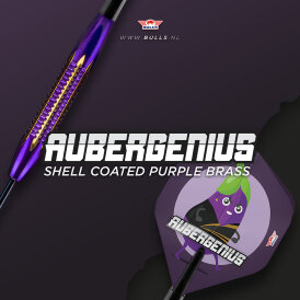 BULLS NL Steel Darts Dirk van Duijvenbode Aubergenius Brass Steeltip Darts Steeldart 21 g