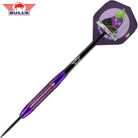 BULLS NL Steel Darts Dirk van Duijvenbode Aubergenius Brass Steeltip Darts Steeldart 21 g