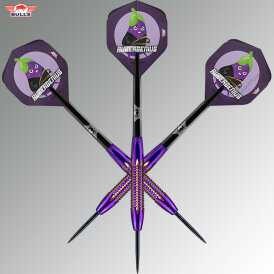 BULLS NL Steel Darts Dirk van Duijvenbode Aubergenius Brass Steeltip Darts Steeldart 21 g