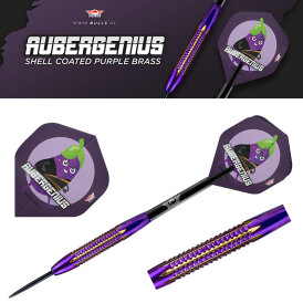 BULLS NL Steel Darts Dirk van Duijvenbode Aubergenius Brass Steeltip Darts Steeldart 21 g