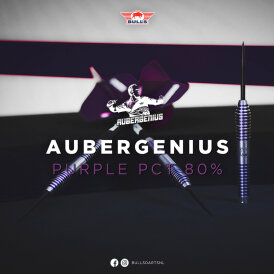 BULLS NL Powerflite Aubergenius 80 Standard Dirk van Duijvenbode The Titan Dart Flight