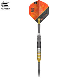 Target Steel Darts SWISS Point Raymond van Barneveld RVB...