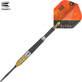 Target Steel Darts SWISS Point Raymond van Barneveld RVB 95 GEN 4 Generation 4 95% Tungsten Steeltip Dart Steeldart