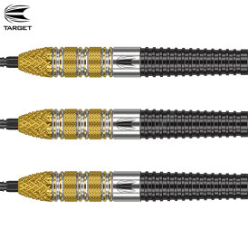 Target Steel Darts SWISS Point Raymond van Barneveld RVB 95 GEN 4 Generation 4 95% Tungsten Steeltip Dart Steeldart