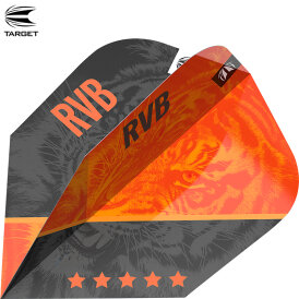 Target Dart Pro Ultra RVB 95 G4 Dart Flight Raymond van Barneveld Dartflights verschiedene Flightformen Design 2021
