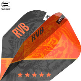 Target Dart Pro Ultra RVB 95 G4 Dart Flight Raymond van Barneveld Dartflights verschiedene Flightformen Design 2021