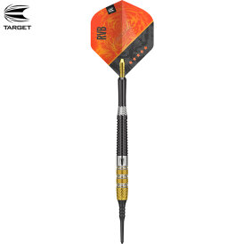 Target Soft Darts Raymond van Barneveld RVB 95 GEN 4 Generation 4 95% Tungsten Softtip Dart Softdart 2021 18 g