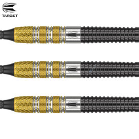 Target Soft Darts Raymond van Barneveld RVB 95 GEN 4 Generation 4 95% Tungsten Softtip Dart Softdart 2021 18 g
