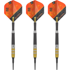 Target Soft Darts Raymond van Barneveld RVB 95 GEN 4...