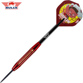BULLS NL Steel Darts Kim Huybrechts Brass The Hurricane Steeltip Darts Steeldart 21 g