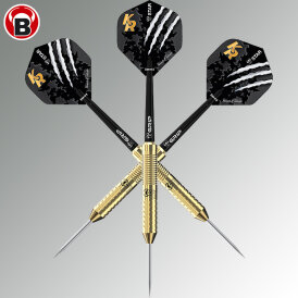 BULL´S Dart Steel Dart Krzysztof Ratajski Brass Gold Steeldart Steeltip