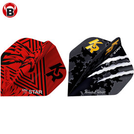 BULL´S Dart B-Star Flights Krzysztof Ratajski The...