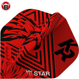 BULL´S Dart B-Star Flights Krzysztof Ratajski The Polish Eagle verschiedene Designs