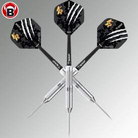 BULL´S Dart Steel Dart Krzysztof Ratajski Brass Silver Steeldart Steeltip 24 g
